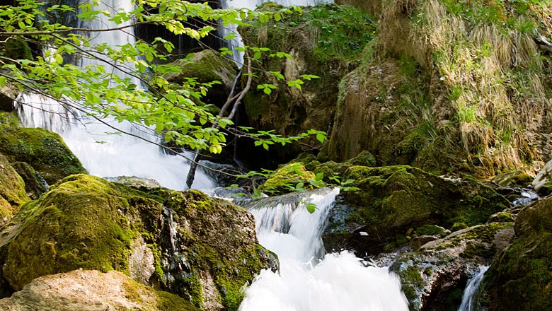Trefflingfall, © Theo Kust Ein Wasserfall fließt über moosbedeckte Felsen, umgeben von grüner Vegetation.