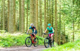 MTB_Wald, © Mostviertel MTB_Wald, © Mostviertel