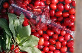 Dirndl, © weinfranz.at Ein Weinglas liegt auf roten Früchten und grünen Blättern.