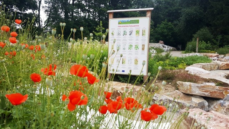 Kräutergarten und Wildblumen, © Gemeinde Weinburg