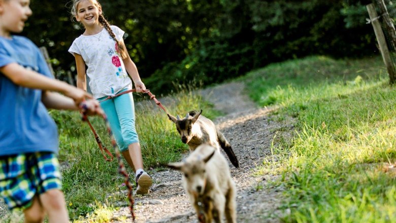 Urlaub am Zwergerlhof, © schwarz-koenig.at Urlaub am Zwergerlhof, © schwarz-koenig.at