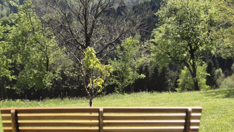 Haarstubenhäusl "Glückskäfer", © Sonja Filsner Haarstubenhäusl "Glückskäfer", © Sonja Filsner