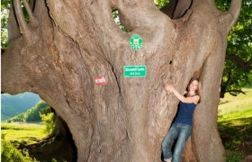 Naturdenkmal Bärntal-Lacke, © www.extremfotos.com Naturdenkmal Bärntal-Lacke, © www.extremfotos.com