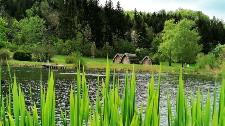 Blick auf die Schlafhütten, © PielachtalCamping Blick auf die Schlafhütten, © PielachtalCamping