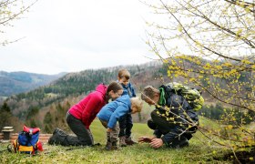 Mit Naturvermittlern zur Dirndlblüte, © weinfranz.at