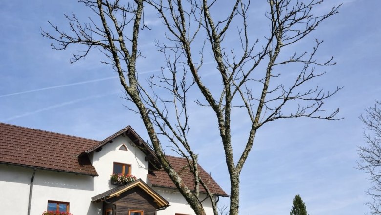 Haarstubenhäusl "Glückskäfer", © Sonja Filsner historische Bauernhaus mit roten Dachziegeln und Blumenkästen vor einem blätterlosen Baum auf einer grünen Wiese.
