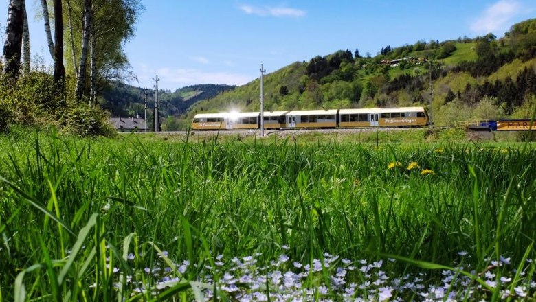 Die Himmelstreppe im Dirndltal, © NÖVOG-Weinfranz