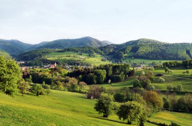 Landschaft im Dirndltal, © Mostviertel Tourismus, weinfranz.at