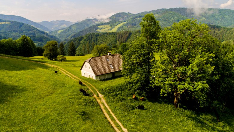 Weidehaus Hinterstaff, &copy; Hardegg