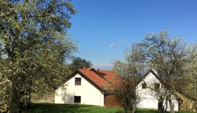 Ein weißes Haus mit rotem Dach steht auf einer grünen Wiese, umgeben von blühenden Bäumen unter einem klaren blauen Himmel.