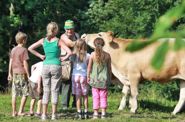 Urlaub am Bauernhof im Pielachtal, © Mostviertel Tourismus, weinfranz.at