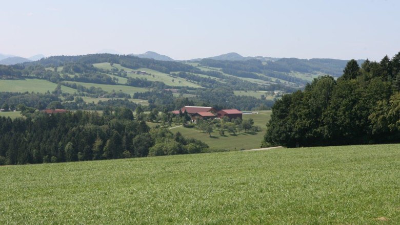 Aussichtsplatz beim D&ouml;rrhaus, &copy; Marktgemeinde Hofstetten-Gr&uuml;nau