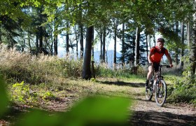 Mountainbiken im Mostviertel, © Mostviertel Tourismus, weinfranz.at