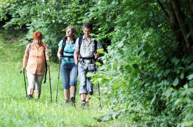 Pielachtaler Pilgerweg, © weinfranz.at