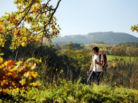 Ein Wanderer genie&szlig;t die frische Bergluft und die atemberaubende Aussicht auf die sanften H&uuml;gel des Melker Alpenvorlands. Umgeben von bunten Herbstbl&auml;ttern und der ruhigen Natur, l&auml;dt die Landschaft dazu ein, die Seele baumeln zu lassen und die Sch&ouml;nheit der Umgebung zu entdecken.