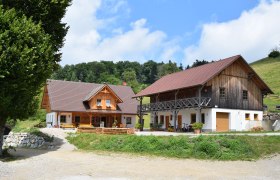 Zwei traditionelle Holzhäuser auf einer Alm mit grünem Hügel im Hintergrund.
