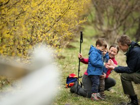 Inmitten der bl&uuml;henden Dirndlb&auml;ume genie&szlig;en eine Familie und ihre Kinder die frische Luft und die Sch&ouml;nheit der Natur. Lachen und Freude erf&uuml;llen die Atmosph&auml;re, w&auml;hrend sie die ersten warmen Sonnenstrahlen des Fr&uuml;hlings erleben. Diese Wanderung ist ein unvergessliches Erlebnis f&uuml;r Gro&szlig; und Klein.
