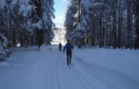 Wastlloipe, &copy; Mostviertel