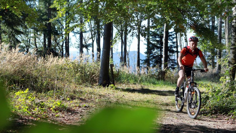 Mountainbiken im Mostviertel, © Mostviertel Tourismus, weinfranz.at